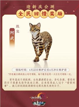 天龙八部私服武器诅咒